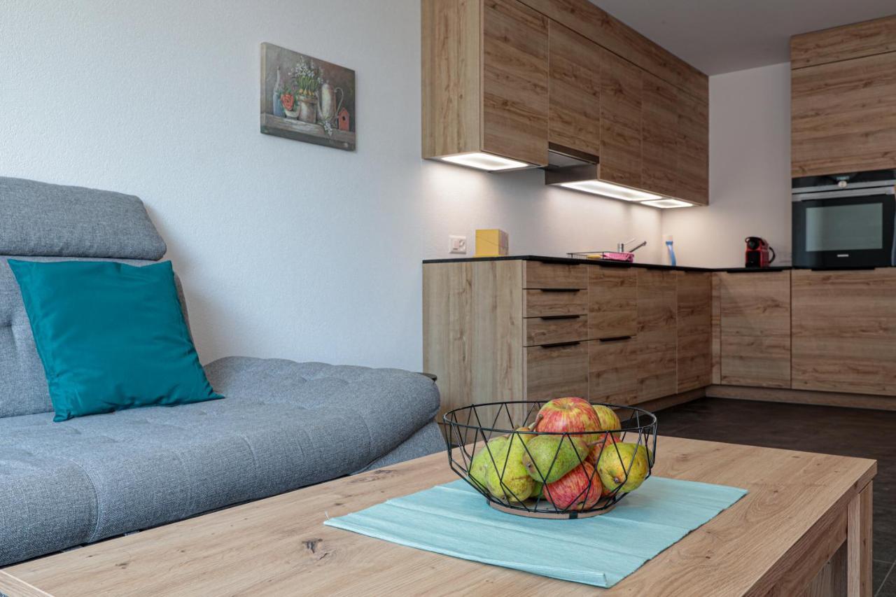 Les Volets Bleus Apartment Morges Ngoại thất bức ảnh