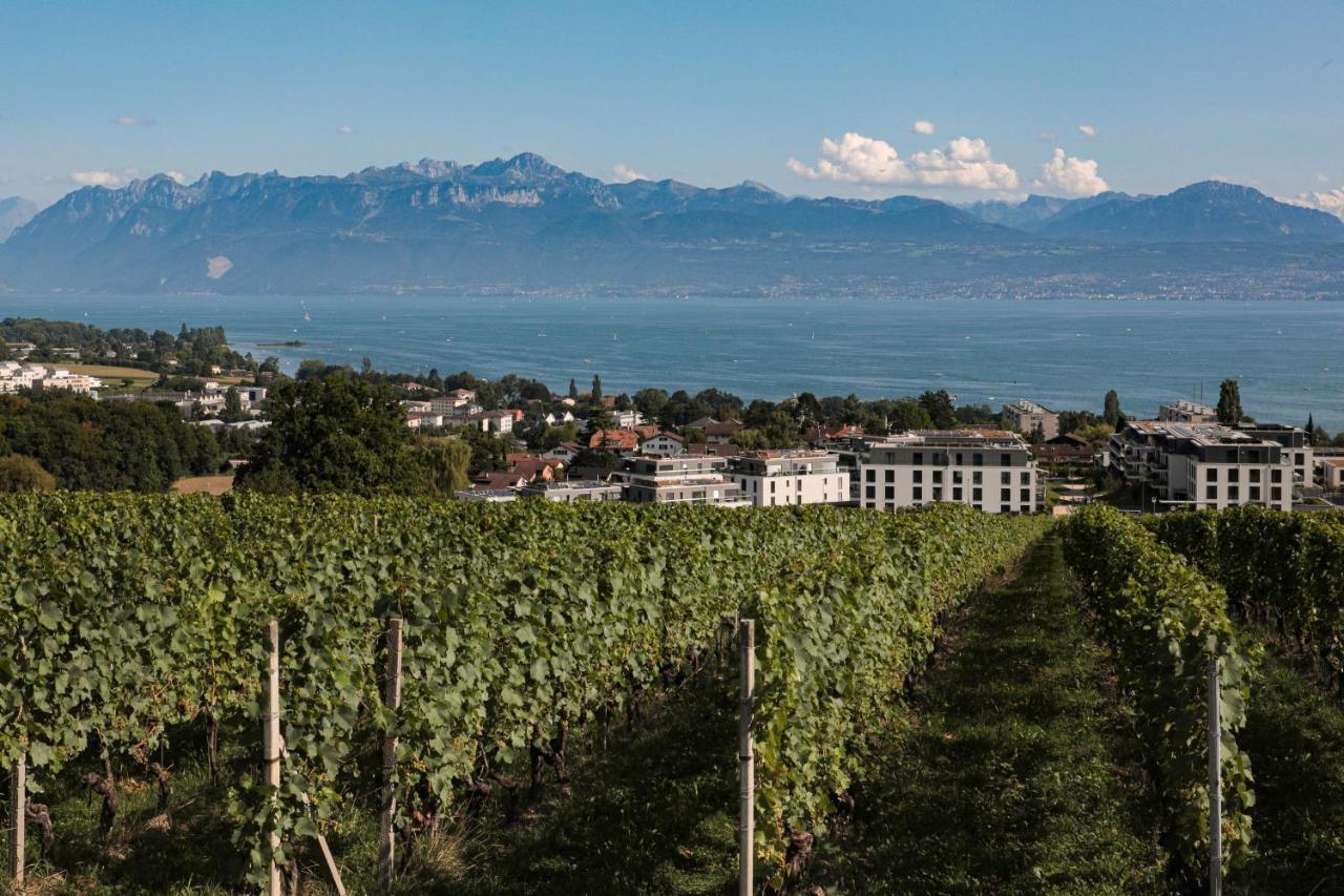 Les Volets Bleus Apartment Morges Ngoại thất bức ảnh