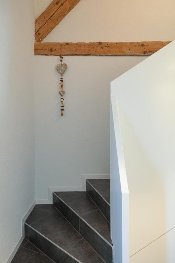 Les Volets Bleus Apartment Morges Ngoại thất bức ảnh